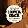 Gouveia Brasil